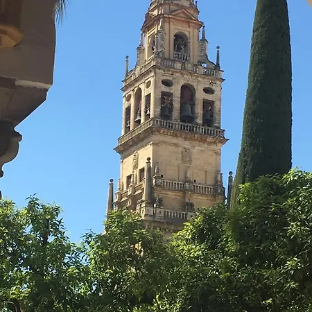 Conde De Vallellano Daire Cordoba