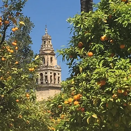 Conde De Vallellano Daire