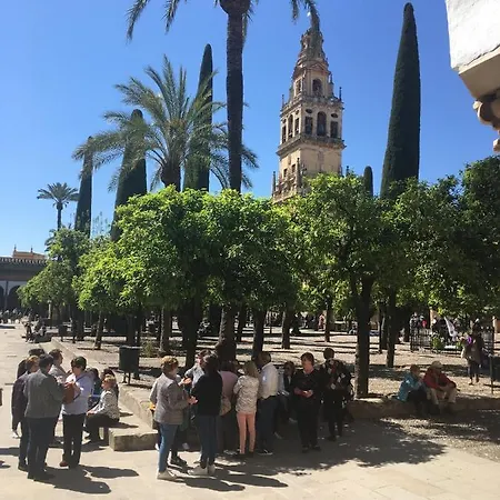 Apartamento Conde De Vallellano Córdoba