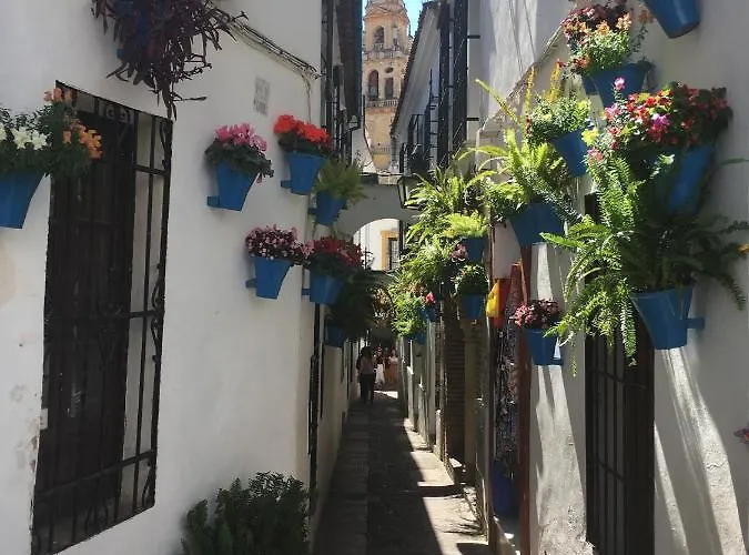 Appartement Conde De Vallellano