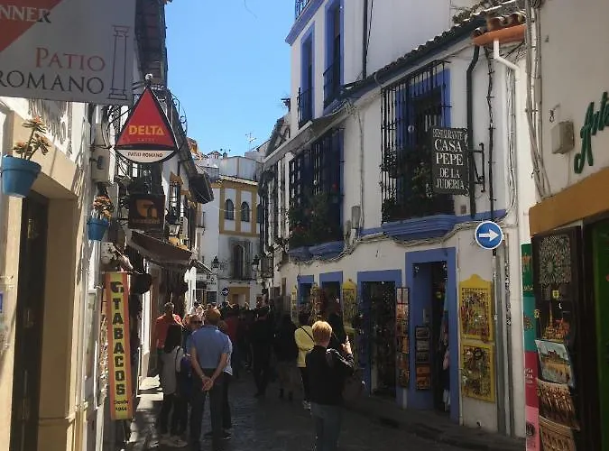 Διαμέρισμα Conde De Vallellano *