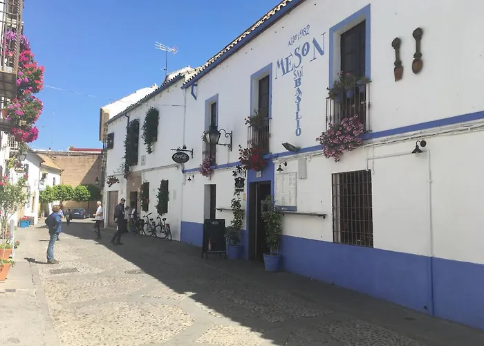 Conde De Vallellano Appartement