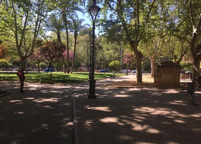 Conde De Vallellano *