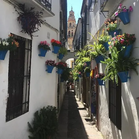 Appartement Conde De Vallellano