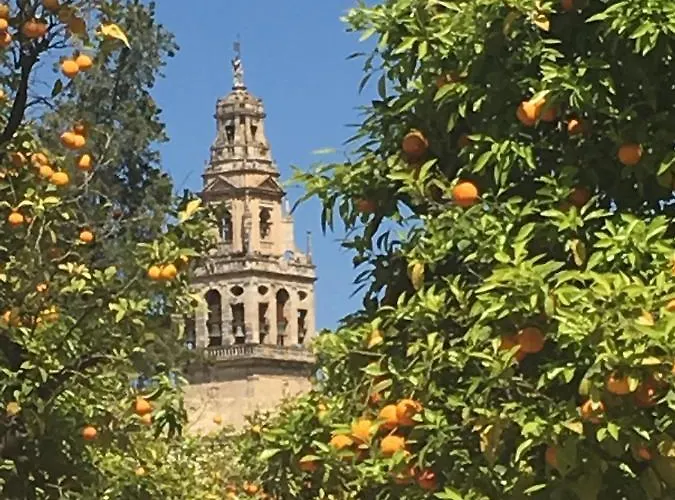 Conde De Vallellano דירה