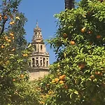 Conde De Vallellano Апартаменты