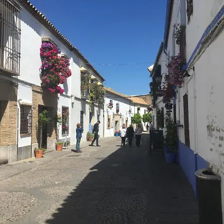 公寓 Conde De Vallellano